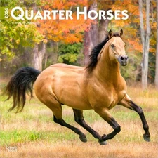 Quarter Horses | 2026 12x24" (Hanging) Square Wall Calendar | Plastic-Free