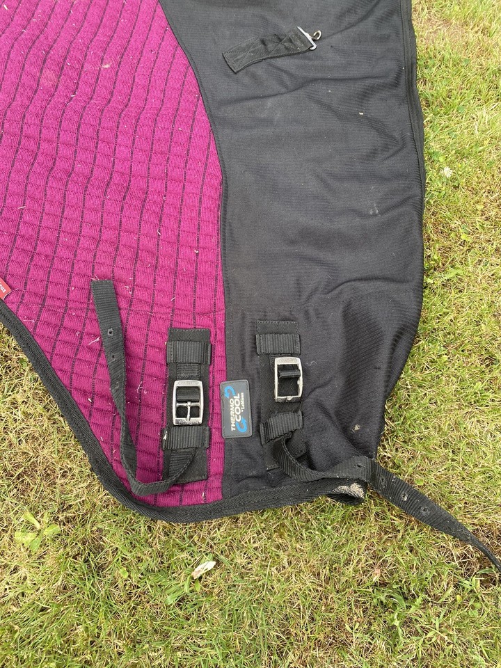 LE MIEUX THERMO COOL RUG SIZE 6 FT 6 eBay