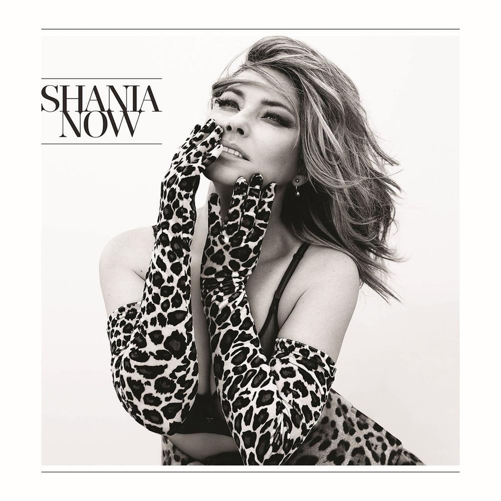 Now - Shania Twain (Audio Cd)