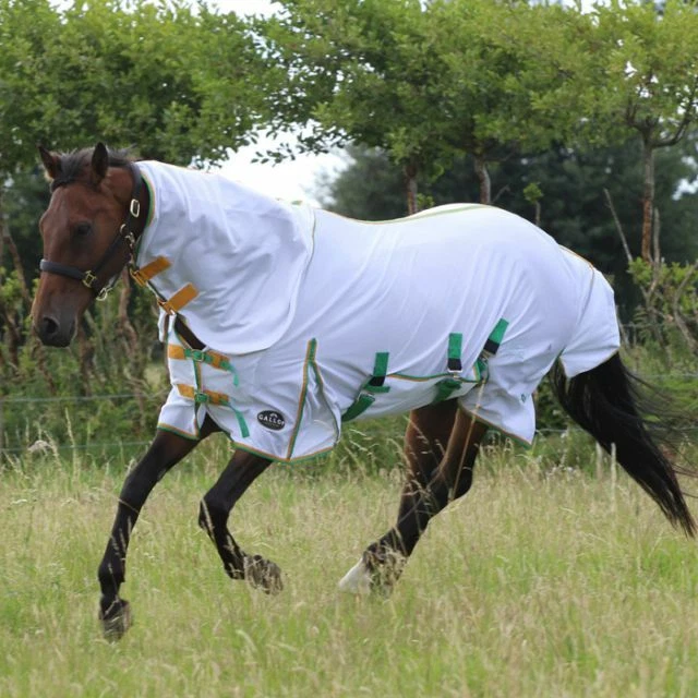 GALLOP CLASSIC COMBO FLY RUG 200 DENIER BELLY FLAP WHITE BOUND WITH GREEN SAFFRO