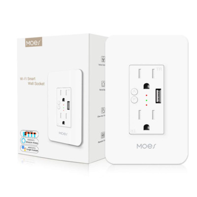 Wifi Smart Wall Outlet, 15A Dual Control Socket, USB, Alexa/Google, 2.4Ghz