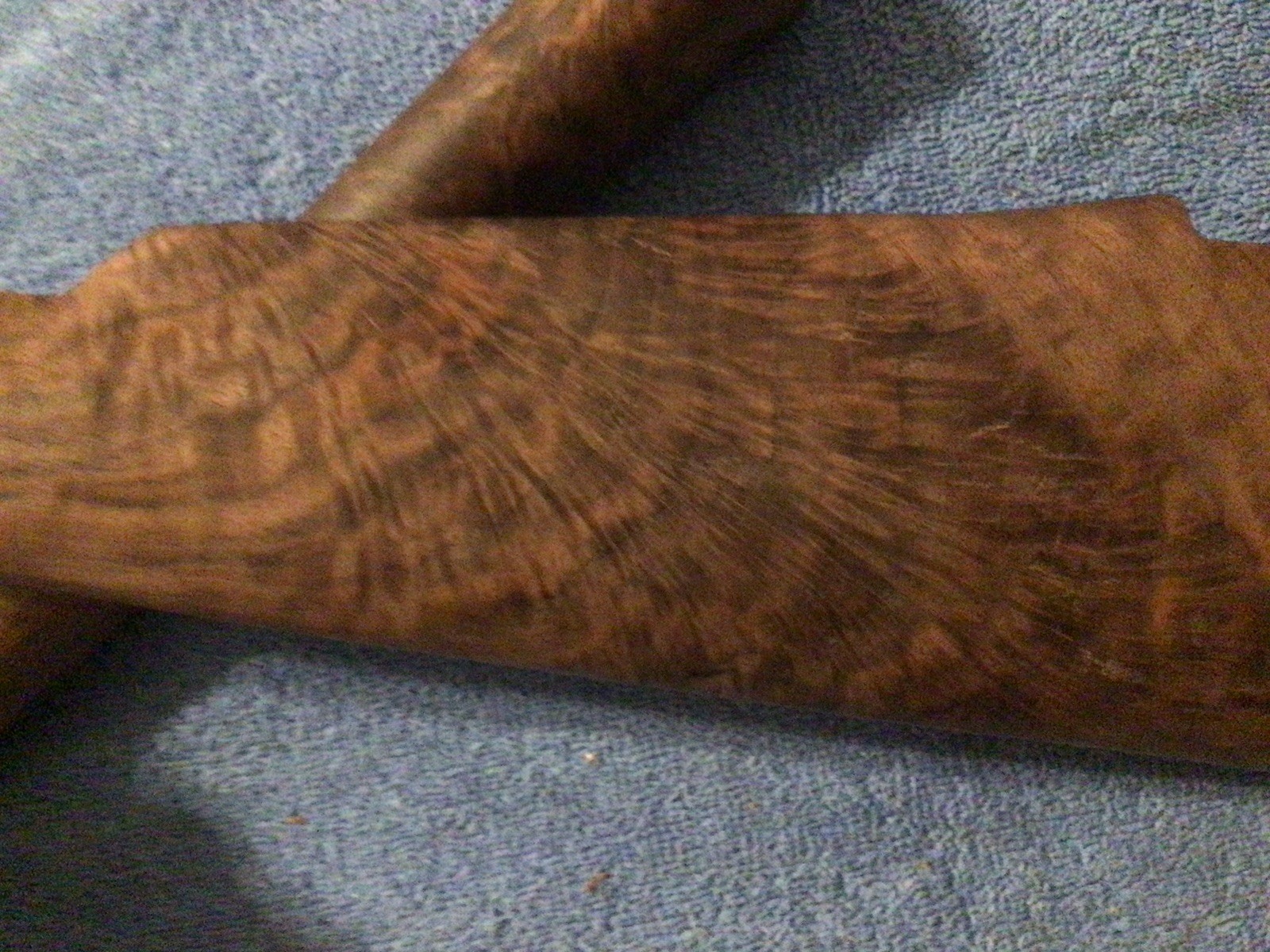 Winchester Pre 64 92/ 94 Rifle @ Forend Gun Stock Set  Walnut Repro