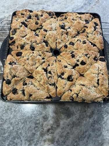 Blueberry Scones-pastry-dessert-scones-snacks-bakery-buttery-baked goods