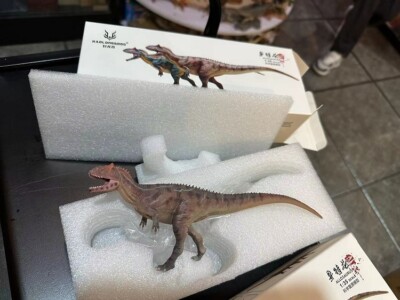 Haolonggood Allosaurus 1/35 Dinosaur Model PVC Toy Figure Red Green