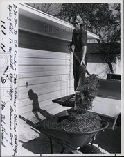 1980 Press Photo Jan Thomas Creative Landscaping Spring Hill Drive - RSM07205