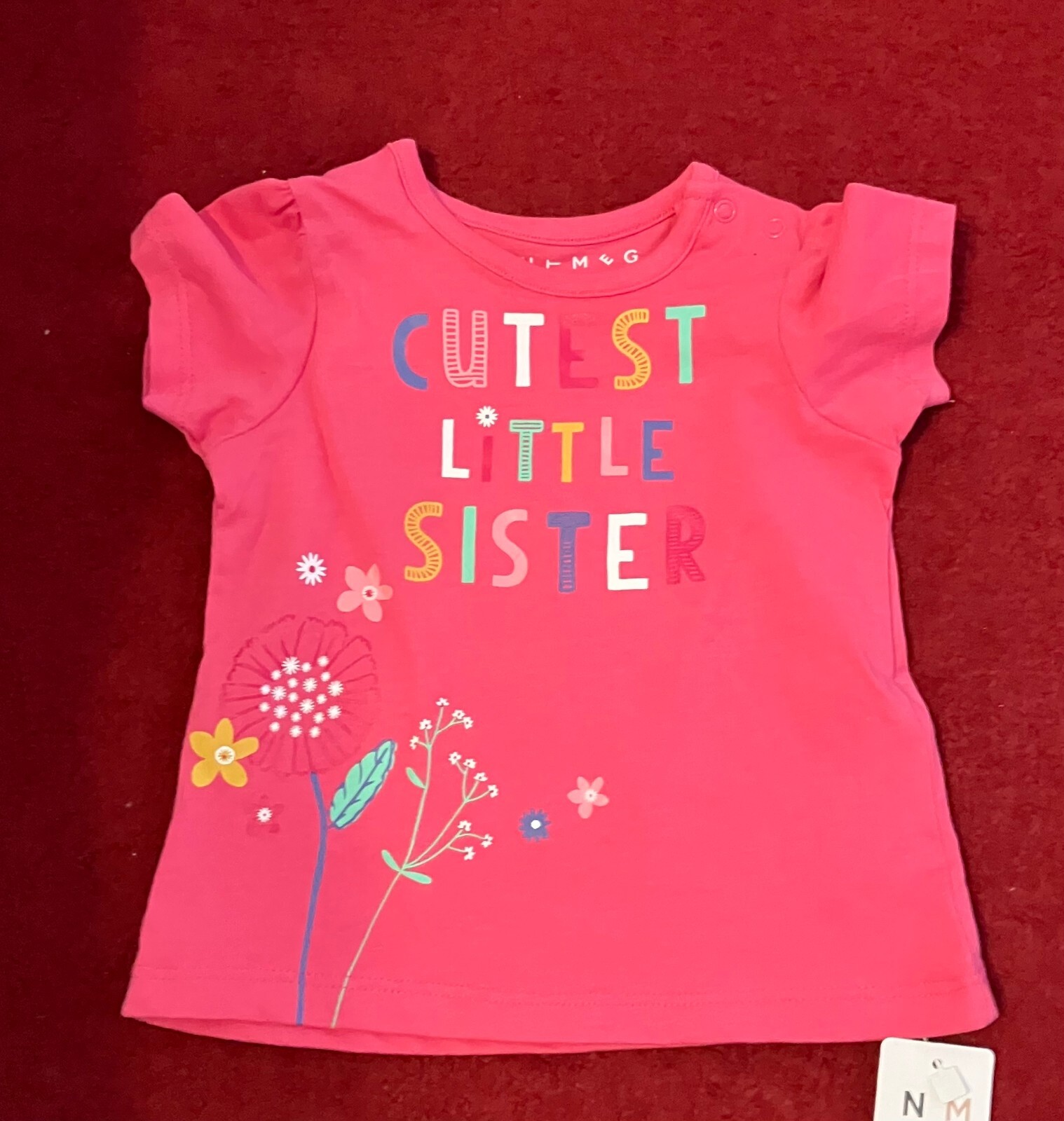 Baby Girl Clothes 36 months Bundle of 12 (Dresses Tops Tshirts