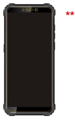 2x (Pack) PELLICOLA VETRO TEMPERATO per OUKITEL WP5 Proteggi Schermo