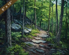 Catoctin Mountain forest with trails oil painting 8x10 Print