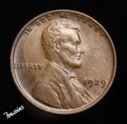 ✅  1929P Lincoln Wheat Cent - AU  Also an error of improper alloy mix.  See rev