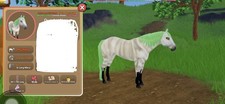Mr.Z Hannover 1/6 Warmblood Horse Simulation ...