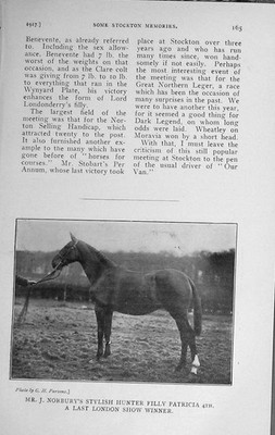 Original alter Vintage Druck 1917 Mr Norbury'S Hunter Stutfohlen Patricia Show Horse