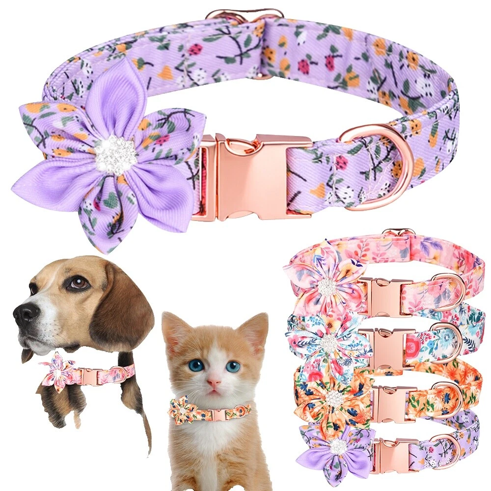 Mujer de nylon collares de perro collar de diamantes/imitación diamante