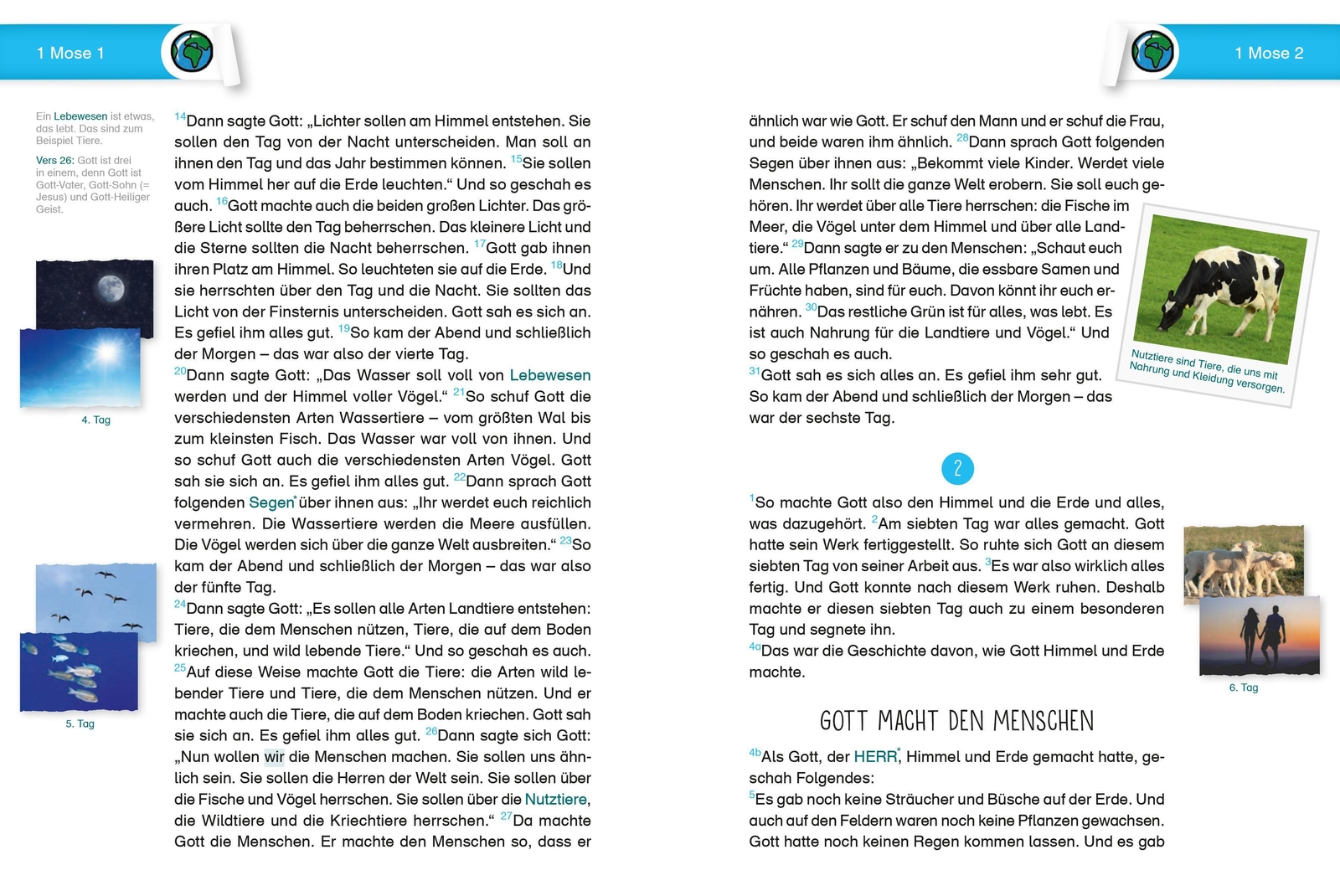 Thumbnail - Die Bibel. Übersetzung Für Kinder. Einsteigerbibel | Buch | Deutsch