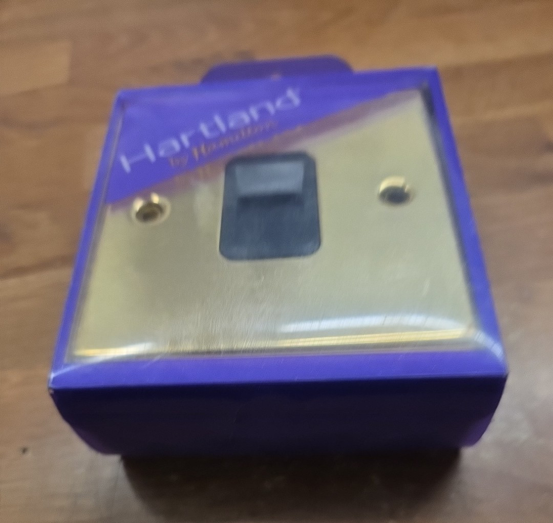Hamilton 71TCMBL 1G Telephone Master Socket  Polished Brass  Hartland