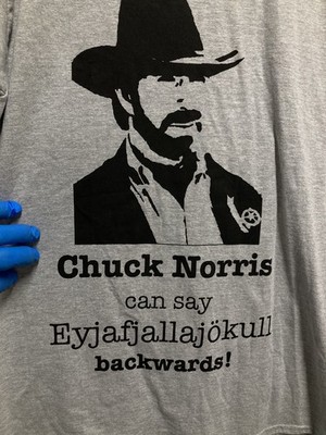 New] CHUCK NORRIS Humorous Unisex T-shirt ; XL; Gray; New without