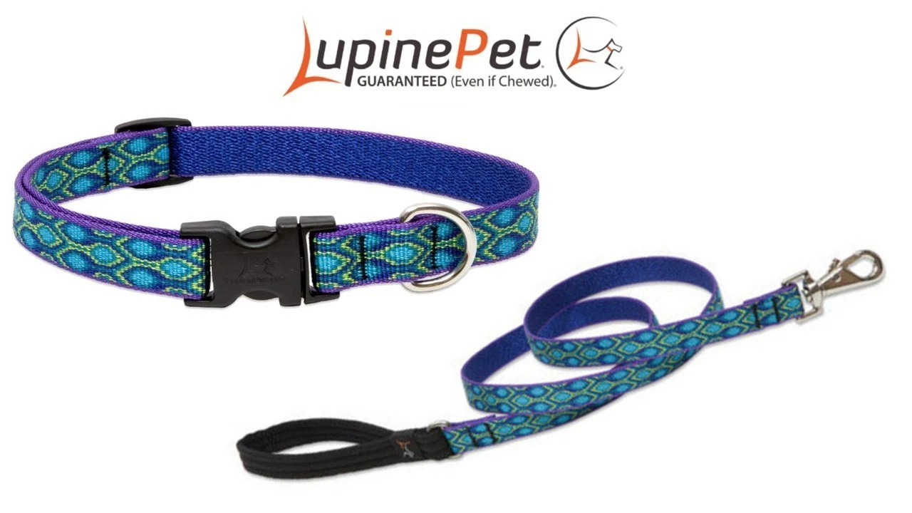 Lupine Originals RAIN SONG Dog Collar & Leash Set Small Medium Pet 9"-14"
