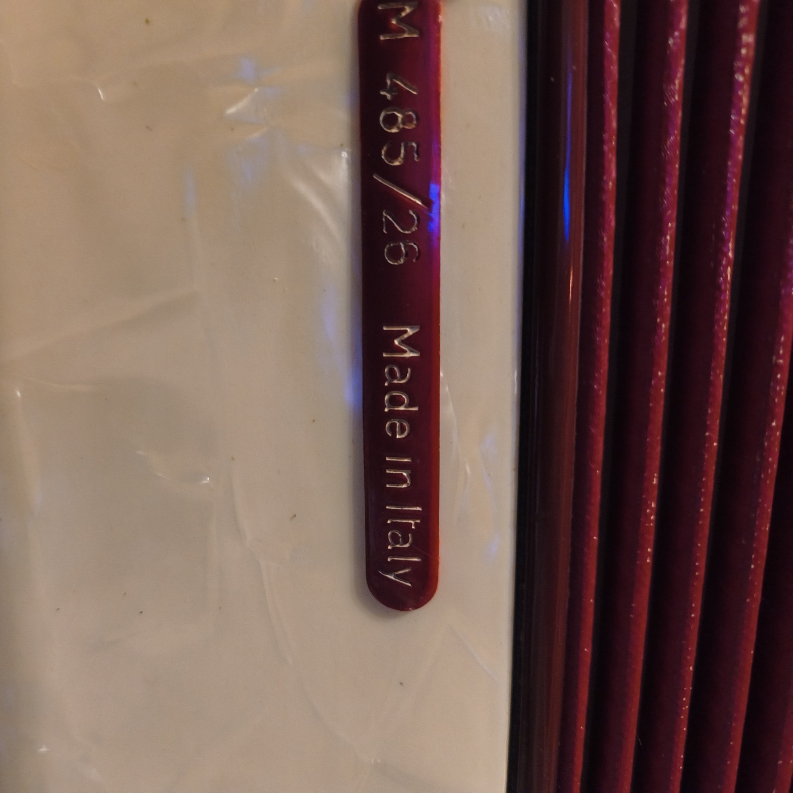 Scandalli Vintage Italian Accordian Great Shape With  Beautiful Red Velvet Case