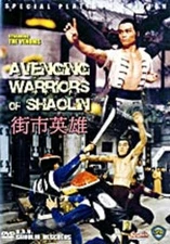 Avenging Warriors of Shaolin- Hong Kong RARE Kung Fu Martial Arts Action--32C