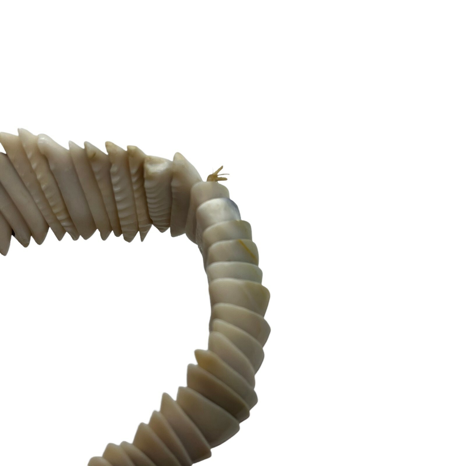 Shell Bracelet Womens White Beach Adjustable Chun… - image 7