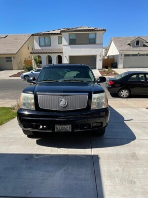 2002-2006 Cadillac Escalade E&G Classics Stainless Vertical Grill
