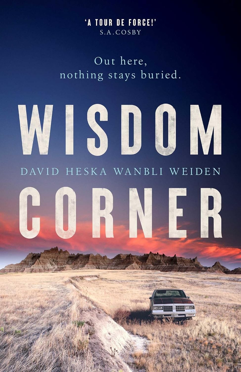 Wisdom Corner by David Heska Wanbli Weiden (Hardback Book) - Image 7