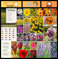 Northeast Wildflower Seed Mix - 1 lb, 480,000+ Seeds, Attracts Pollinators, Zone 87.99 per gallon