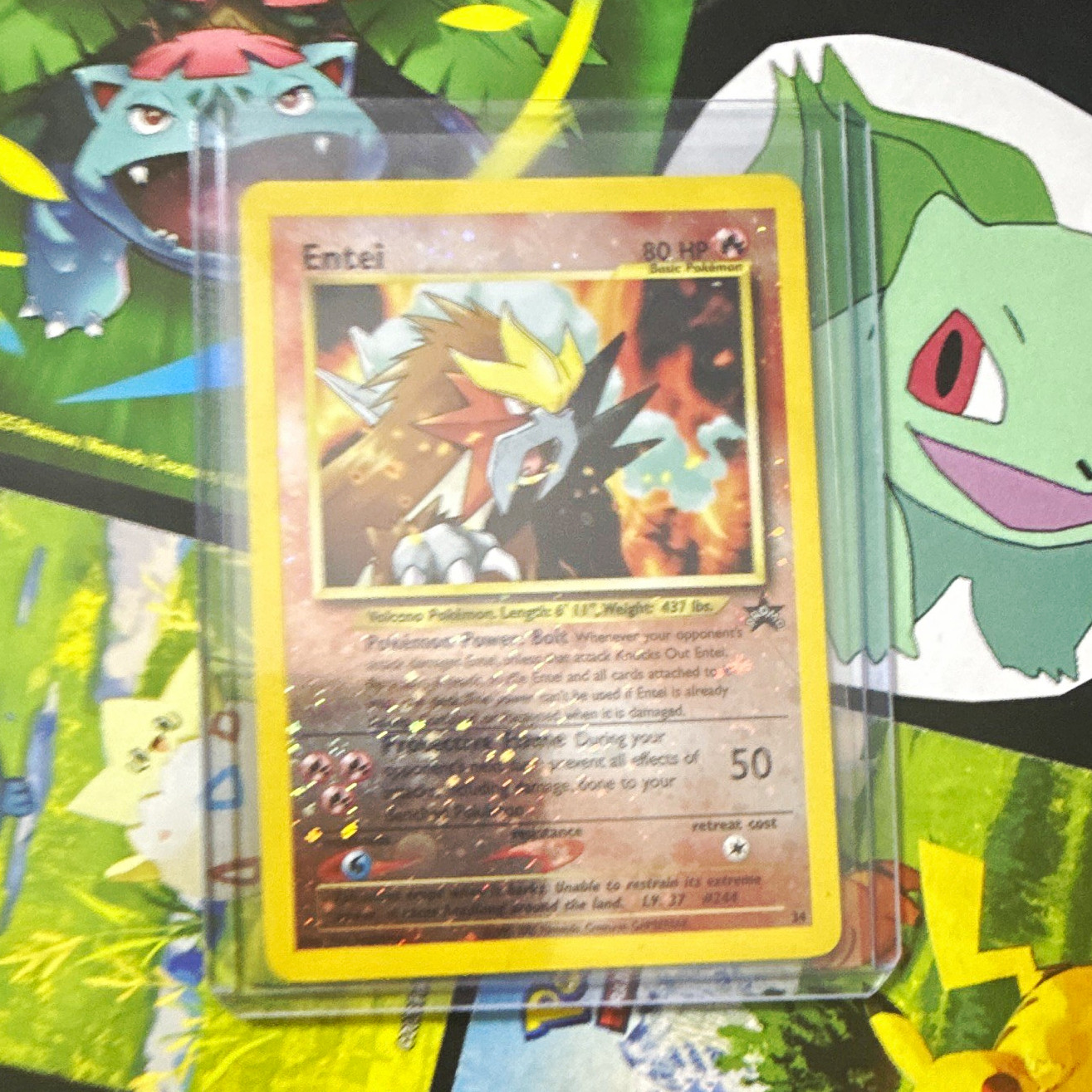 Nintendo Pokémon TCG Entei Holo Rare Promo Neo Revelation English