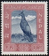 Nepal Stamp 115  - Himalayan pheasant