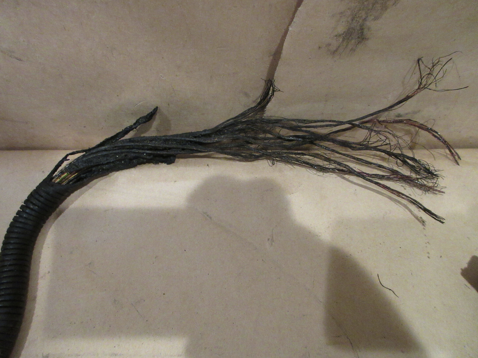 Ferrari 360 LH Engine Ignition/Injector  Cables Damage P/N 179168