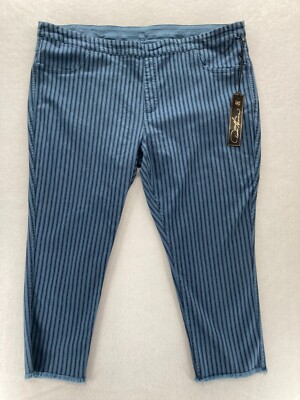DG2 Diane Gilman Jeans Women's Plus 24 Blue Striped Denim Reversible Pull On NWT