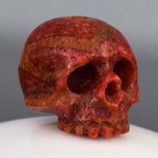 Perle Crâne Humain Corail Éponge Rouge Sculptée Fendue Verticale 12,39mm