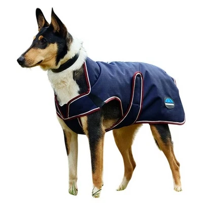 Weatherbeeta ComFiTec Premier Deluxe Waterproof Dog Coat WB2434