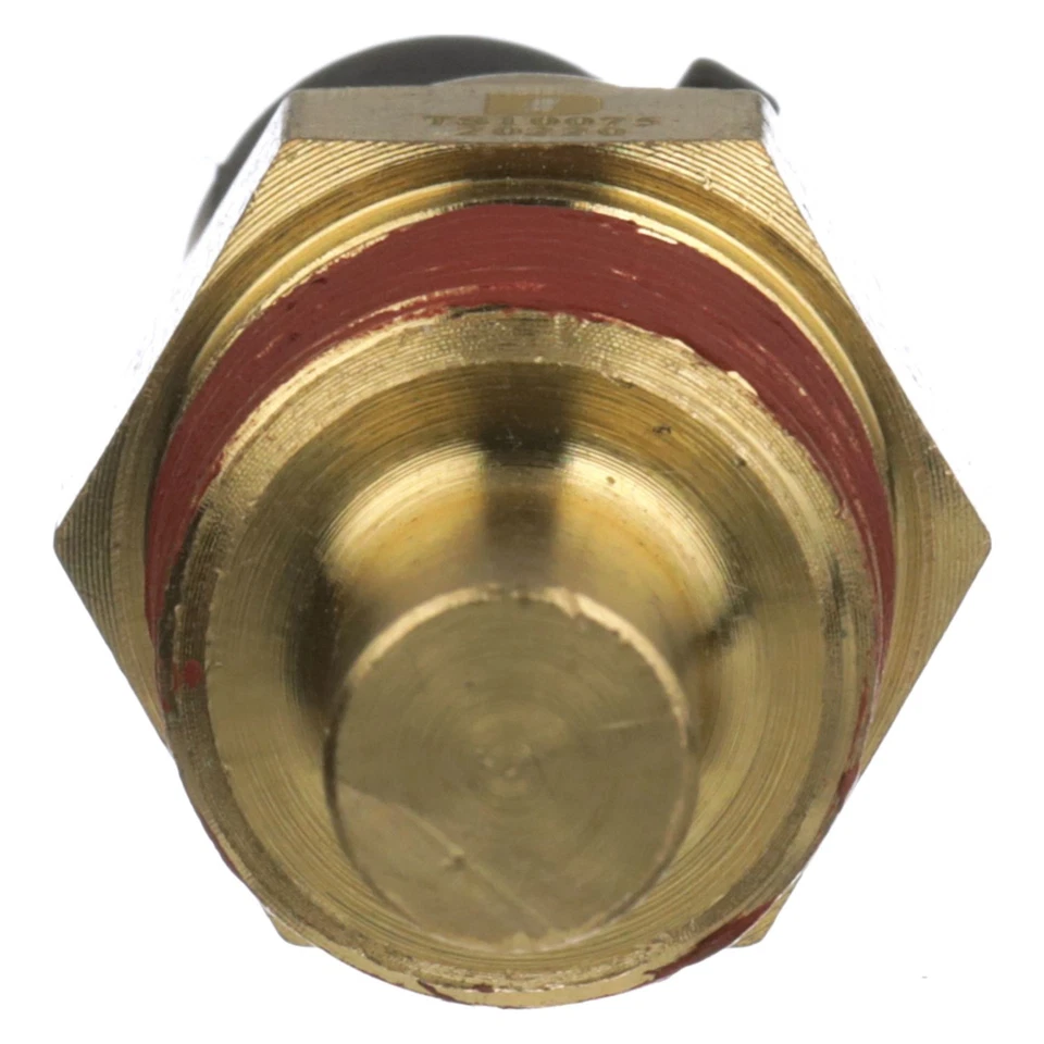 Sensor de temperatura del refrigerante del motor Delphi TS10075 Foto 3 de 4
