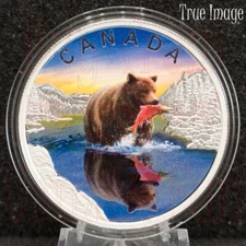 2024 Wildlife Reflections #1 - Grizzly Bear - $20 Pure Silver Proof Coin Canada
