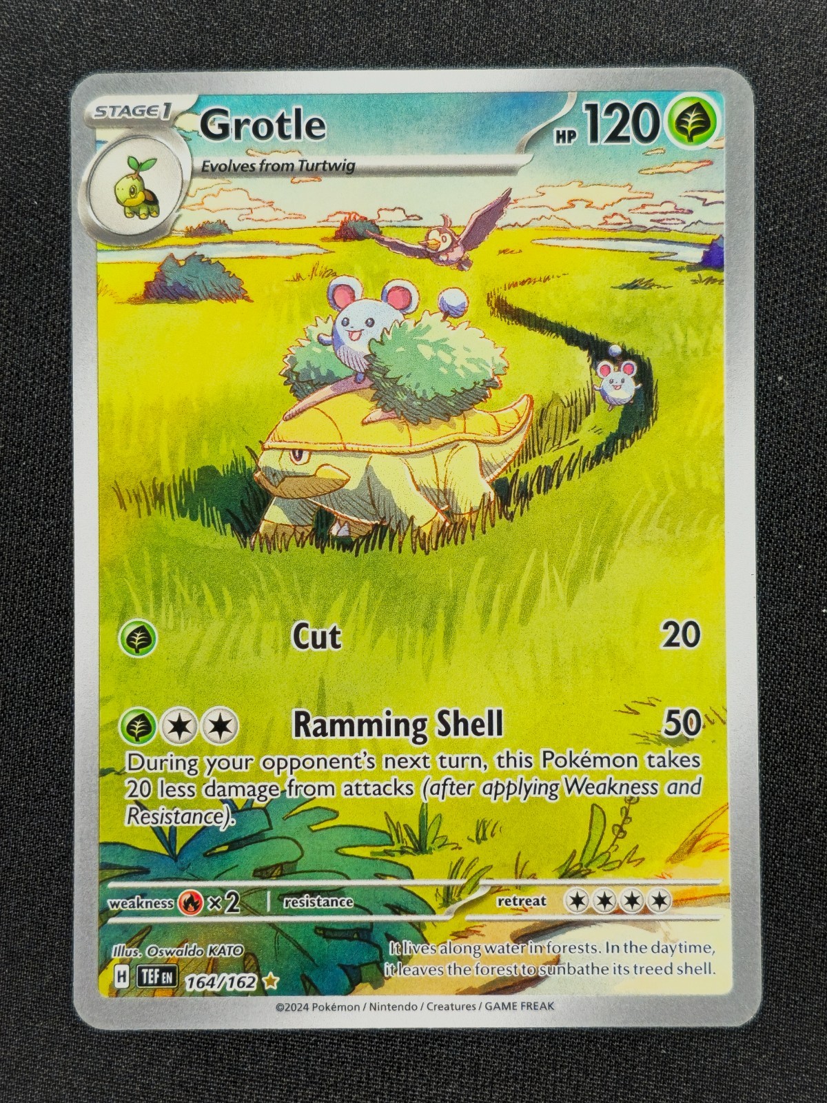 Grotle 164 Pokemon Temporal Forces 2024 NM 🔥🔥🔥