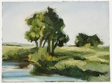 Nick Todhunter - Contemporary Oil, Summer Trees