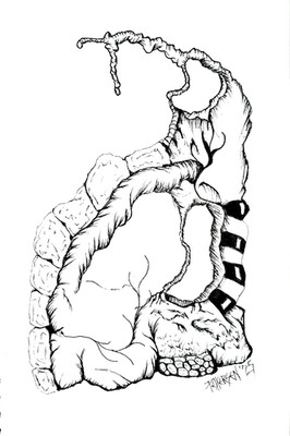 pen and ink, drawings, original, surrealistic, organic, industrial, zentangle