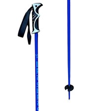 Defiance Ski Poles - 2025