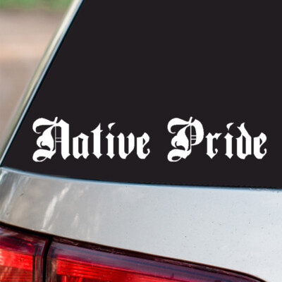 Native Pride Vinyl Sticker Country Pride all sizes chrome and regular ...