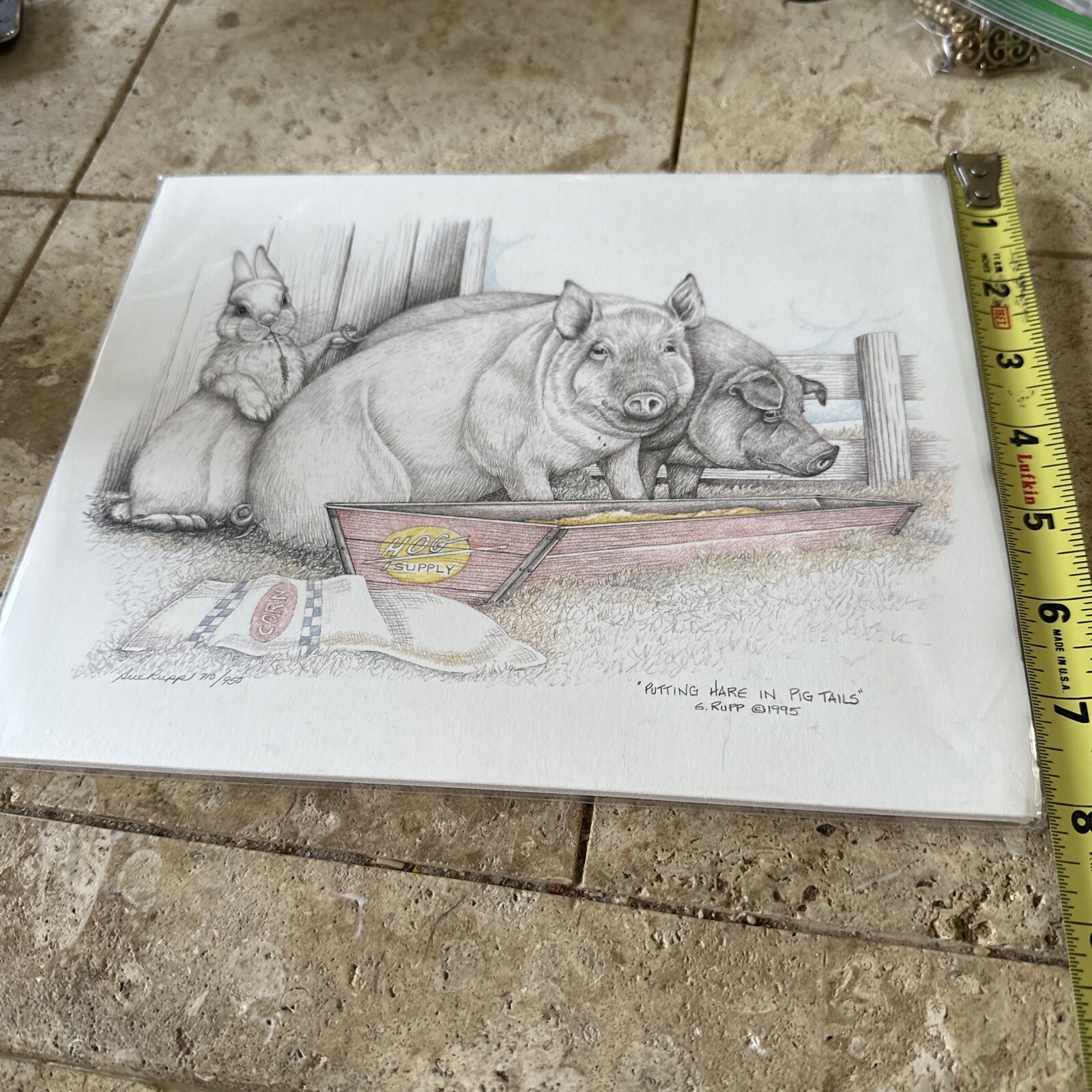 Picture 4 of 6