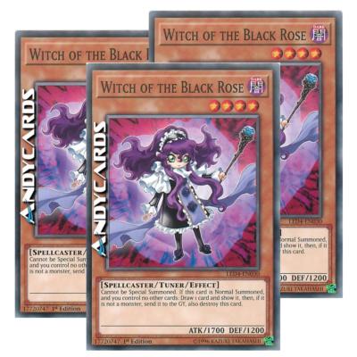 3x WITCH OF THE BLACK ROSE (Strega Della Rosa Nera) Comune LED4