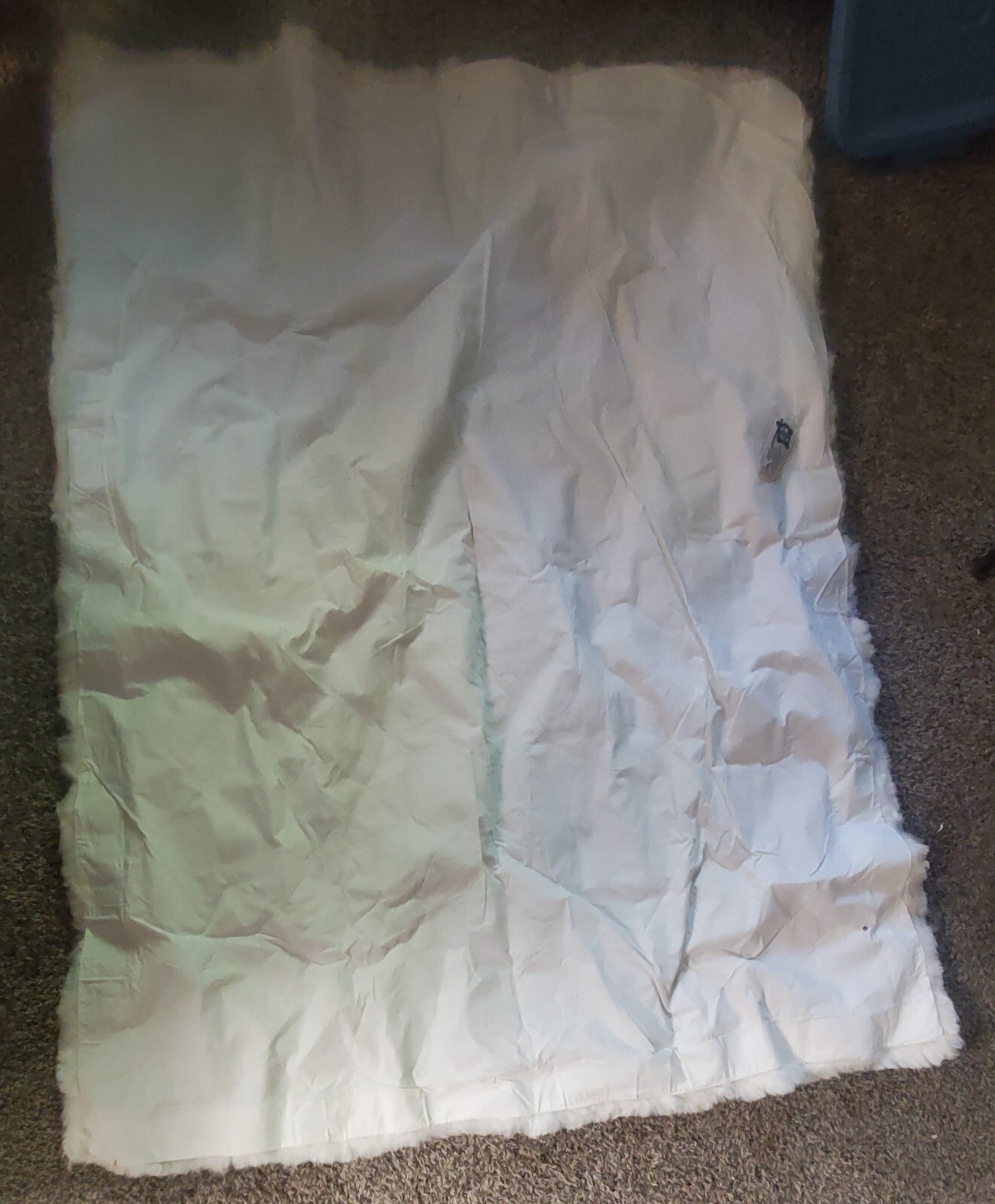 Picture 4 of 5