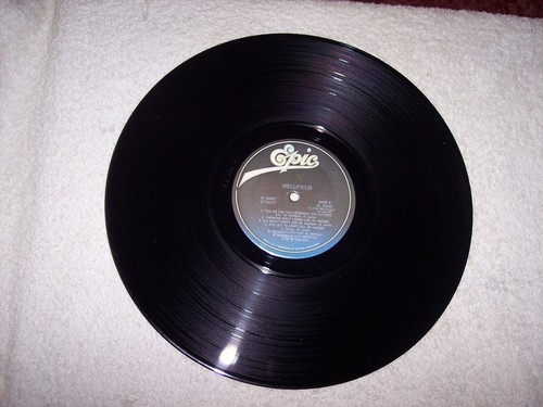 LP--HELLFIELD--HELLFIELD SELF TITLED ALBUM *NM VINYL* #557 - Imagen 8 de 9