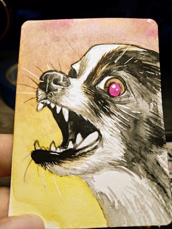Ferocious Chihuahua ACEO Original Watercolor Painting Snarling Growling Barking