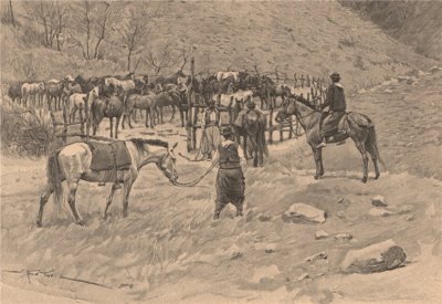 Corral in der Provinz Patagones. Argentinien 1885 altes antikes Druckbild