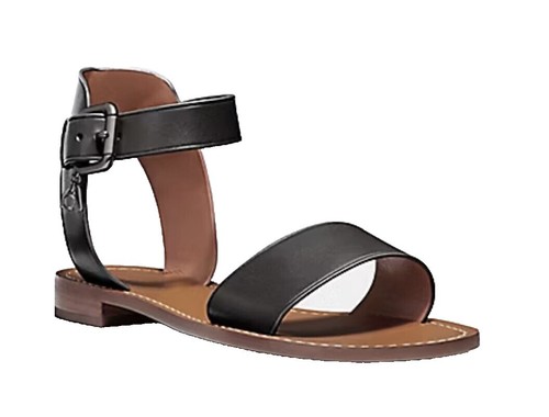 NWT Coach Belt Women display picture 1