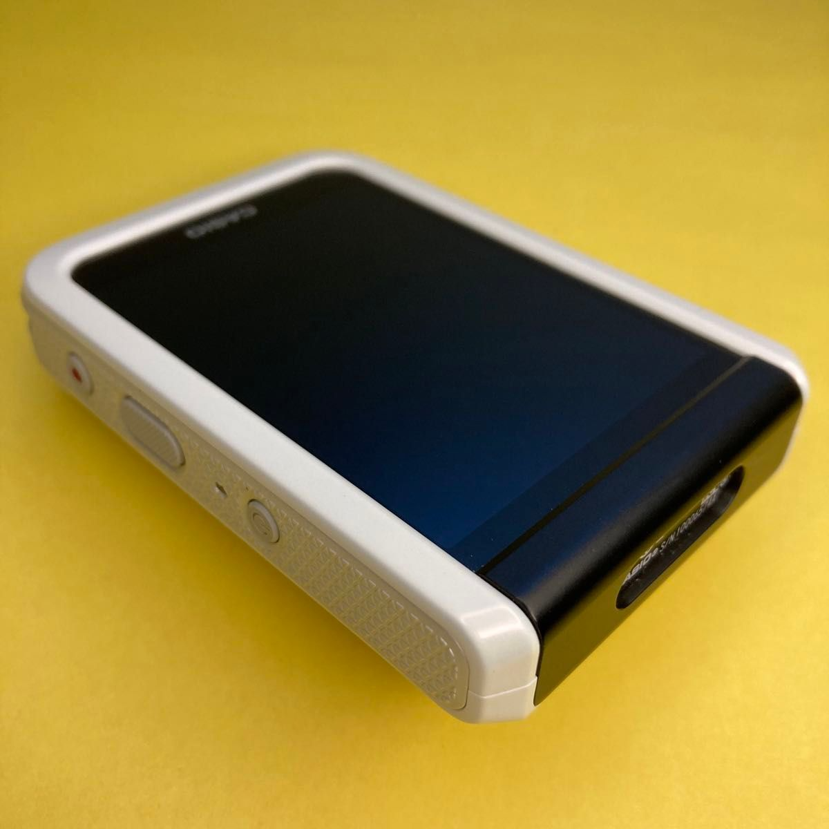 CASIO EXILIM EX-FR100L Separation Digital Camera 10.2Megapixel EX