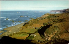 Vintage Postcard Brookings Oregon Coastline Azalea State Park