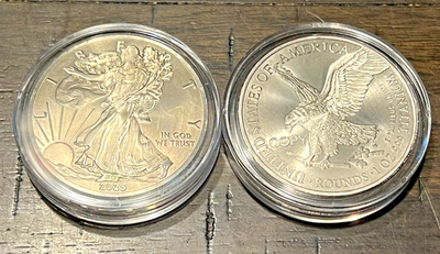 1 TROY OUNCE/OZ .999 Pure TITANIUM Walking Liberty Eagle Round in