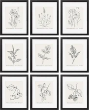 11X14 Picture Frames Set of 9 Classic Gallery Wall Frame Set, Displays 8X10 Phot